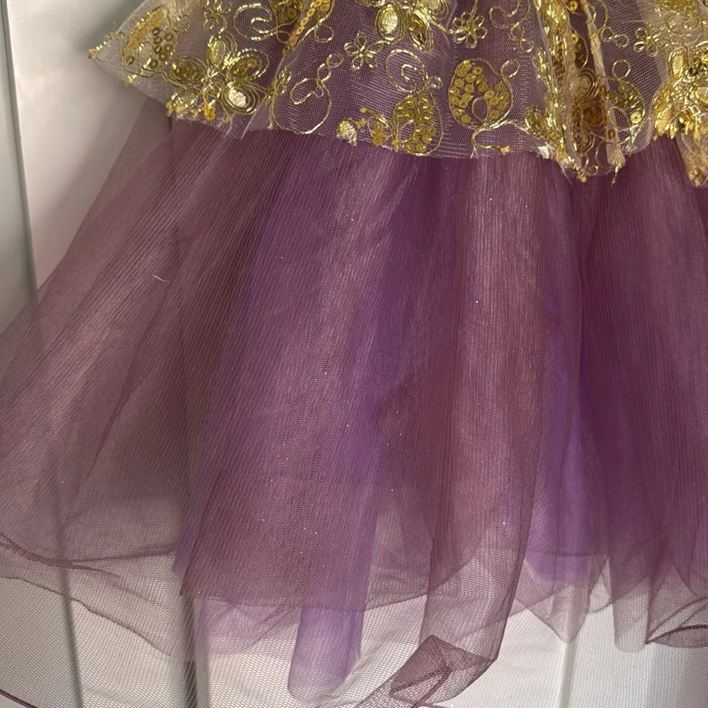 Purple Pointe leotard Tutu Dress Dance Costume Large